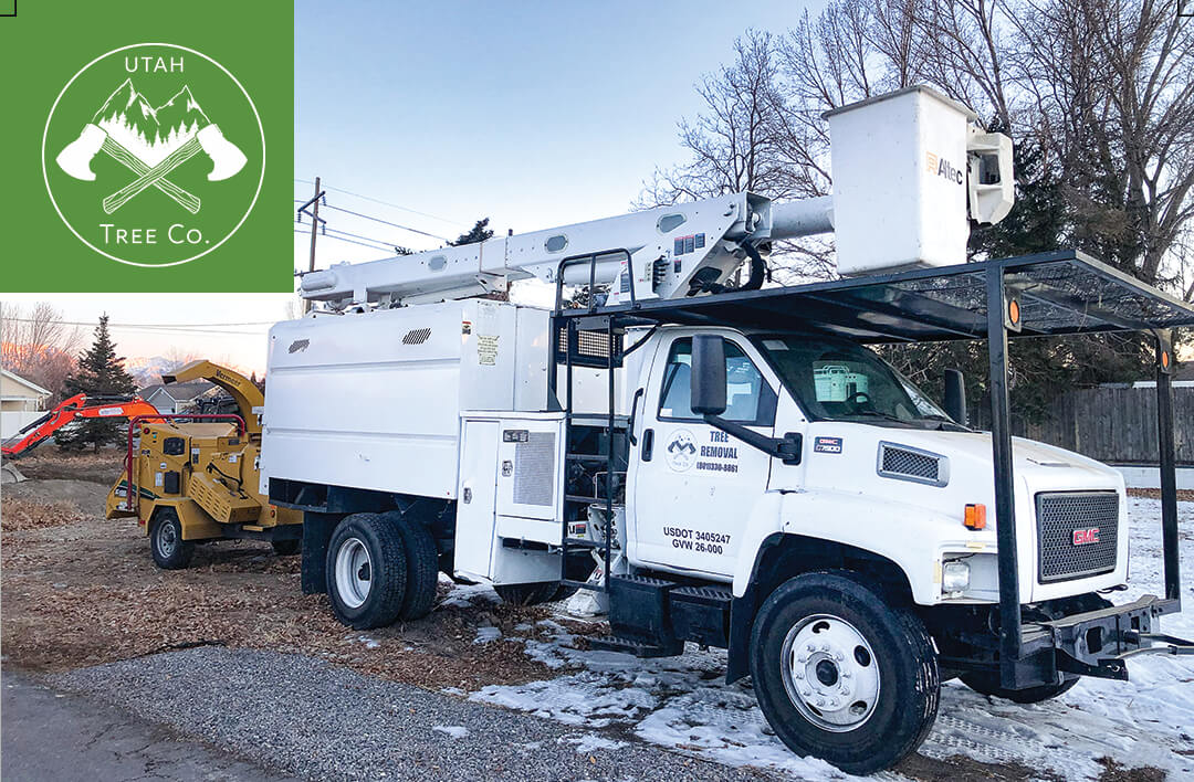 Top 5 Reasons To Trim Your Trees And Shrubs During Utah s Winter Tree Co