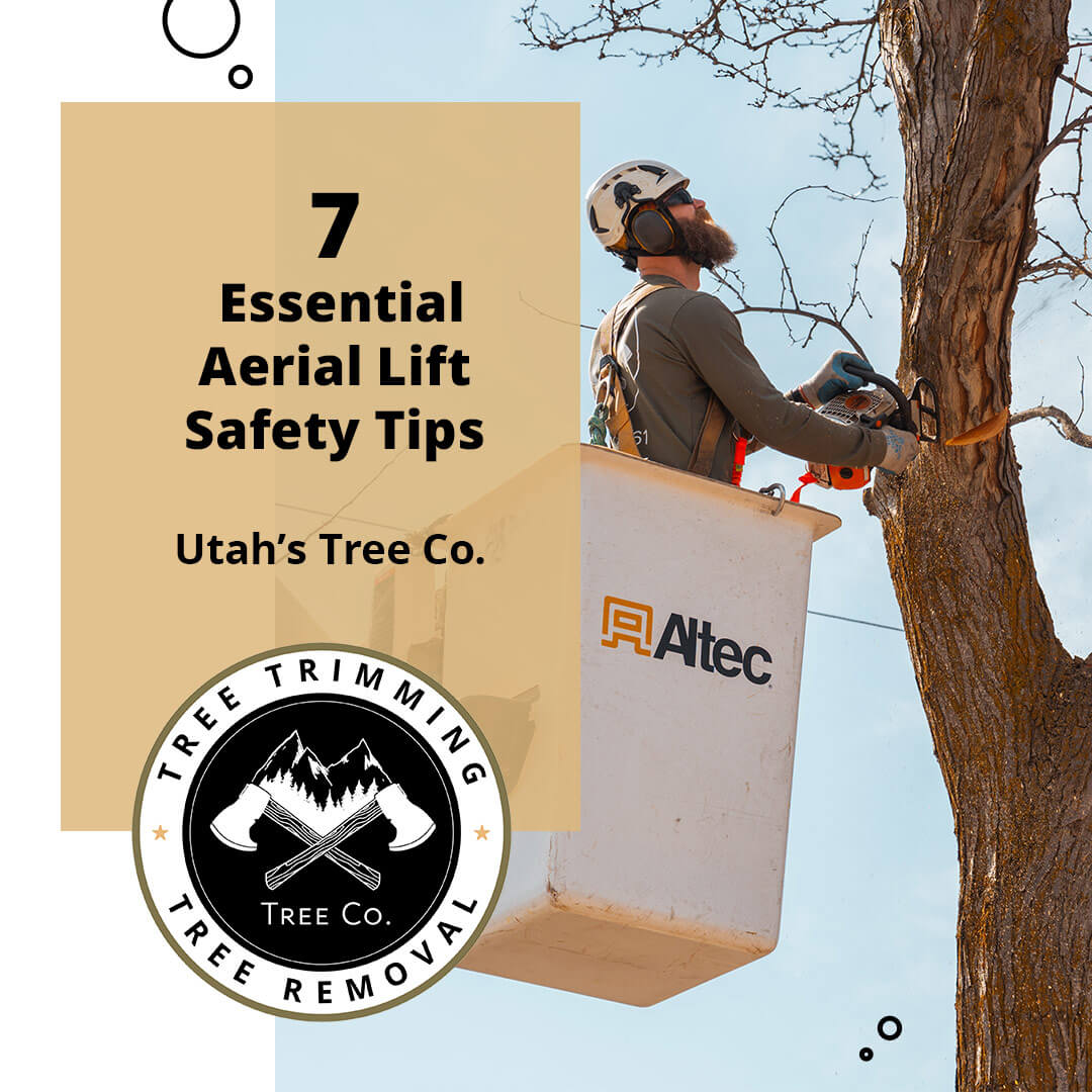 Featured image for “7 Essential Aerial Lift Safety Tips You Should Remember”