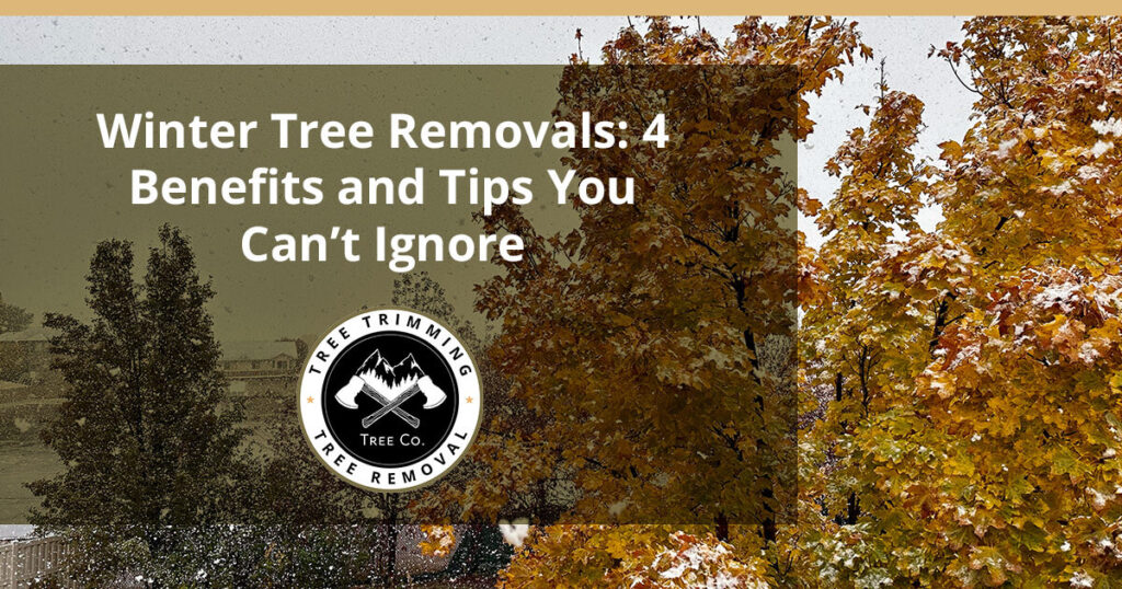 4 Benefits and Tips Regarding Winter Tree Removals | Utah Tree