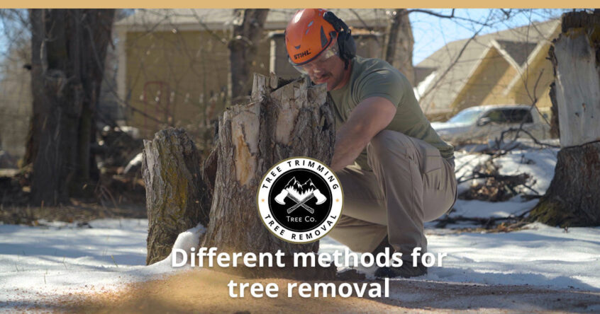 tree removal methods