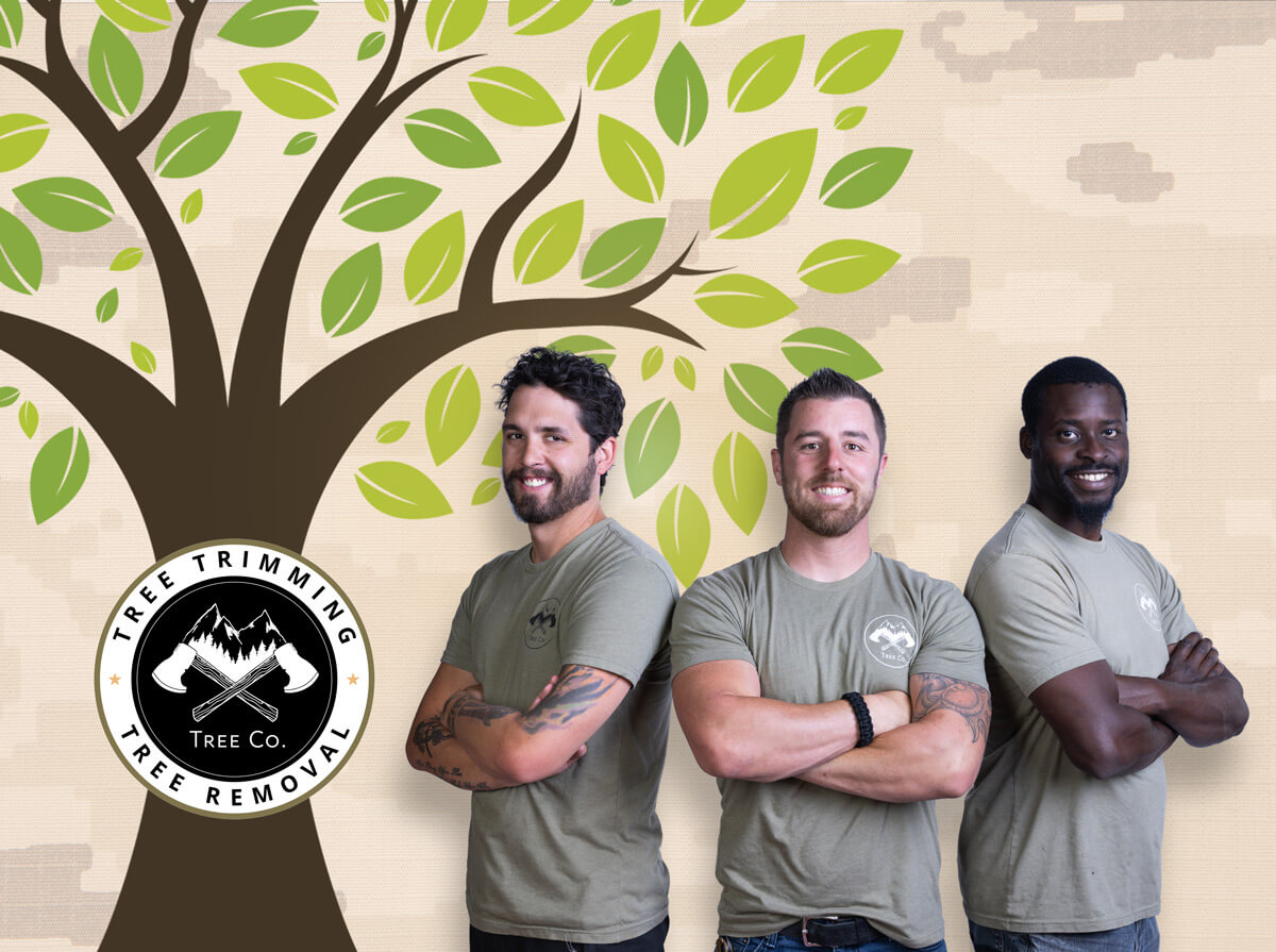 Featured image for “6 Spring Tree Care Tips for a Green Yard”