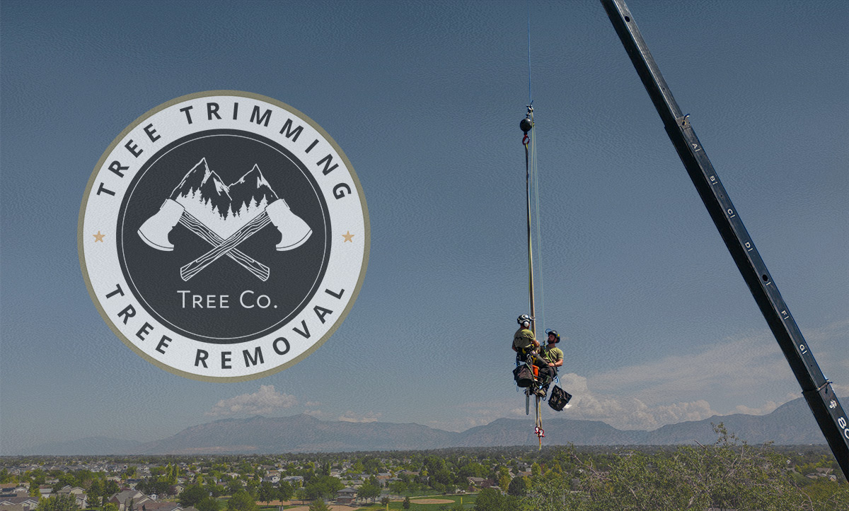 Tree Trimming and Removal Company in Utah - Emergency Tree Service ...