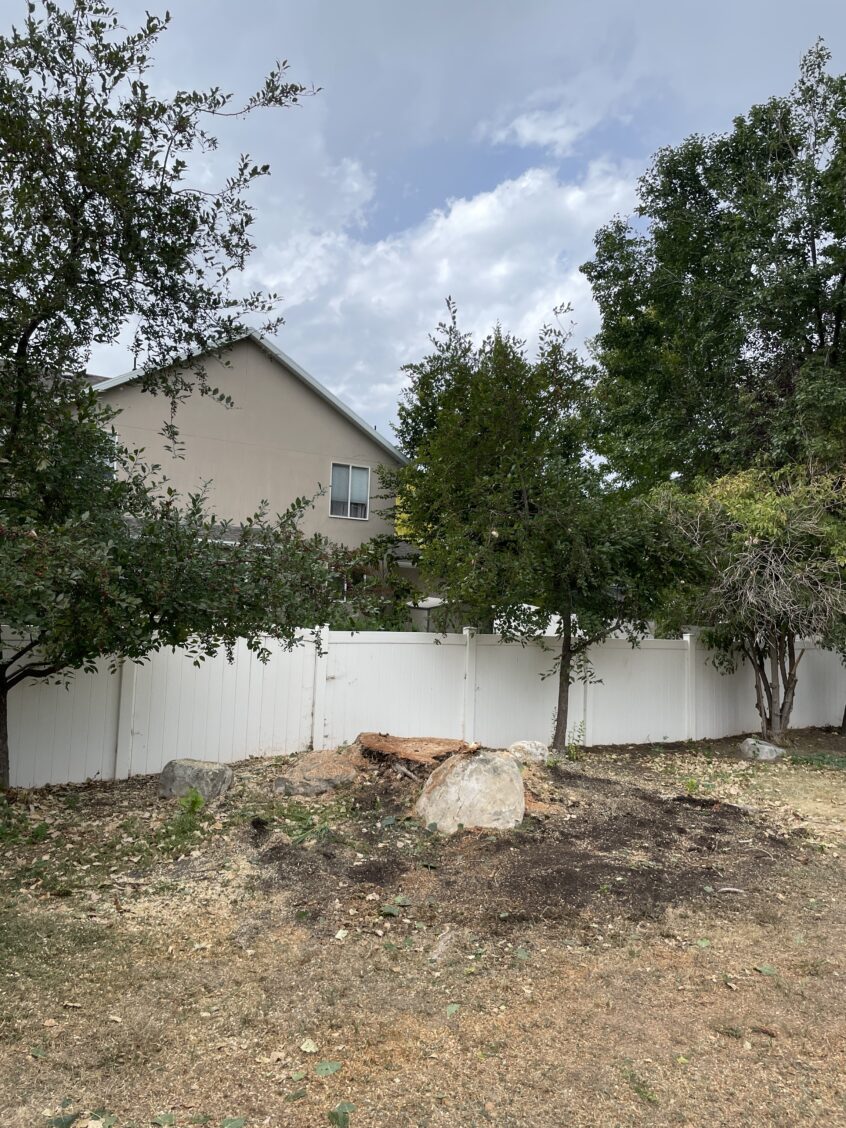 Affordable Stump Removal & Grinding in Sandy, UT | Free Quote!