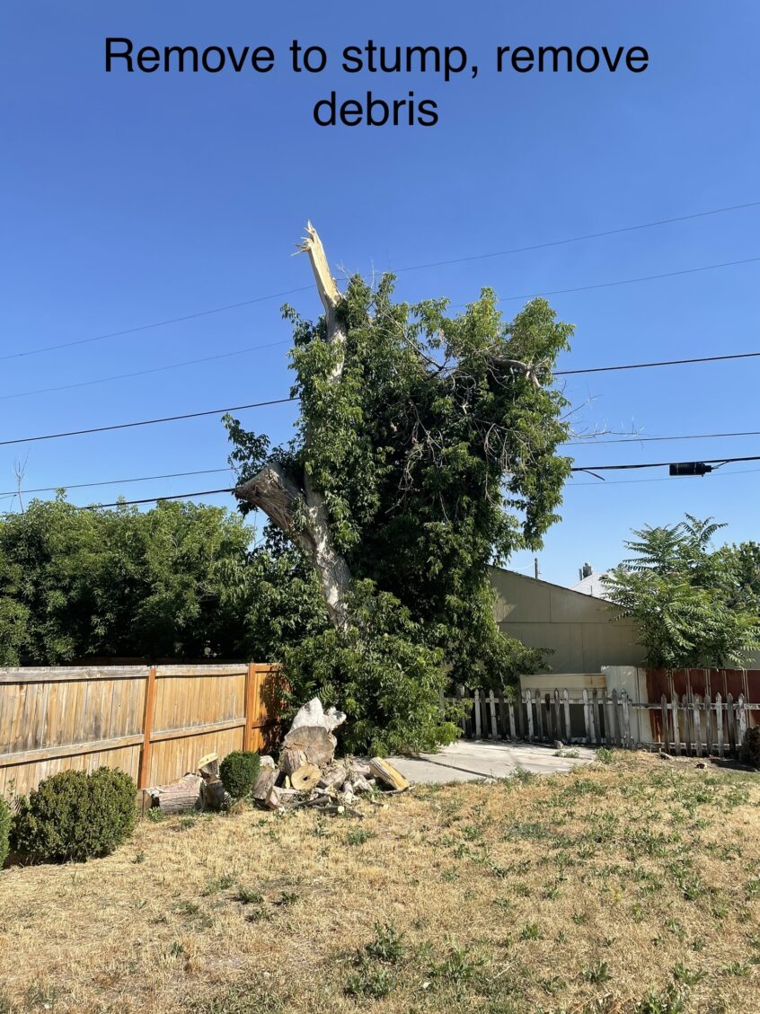 Affordable Tree & Stump Removal in SLC, UT – Free Quote!