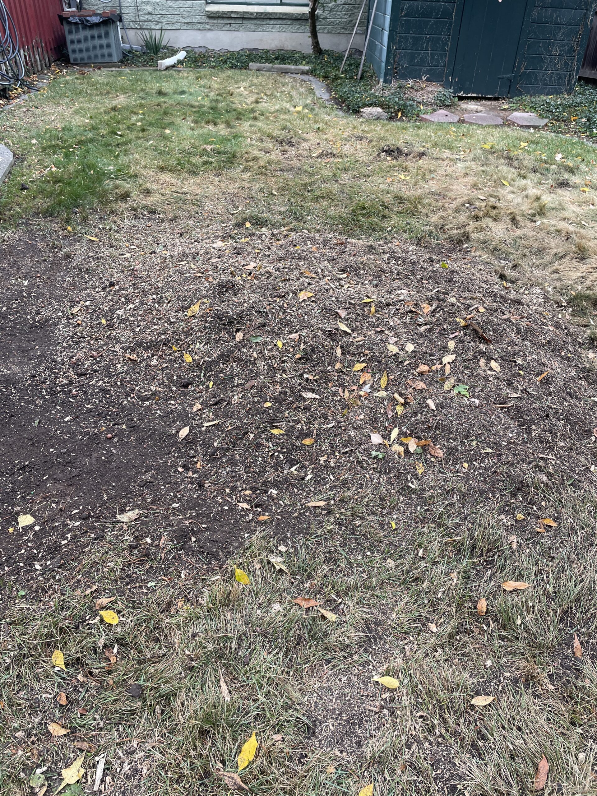 Featured image for “Stump Grinding in Salt Lake City | Free Quote”