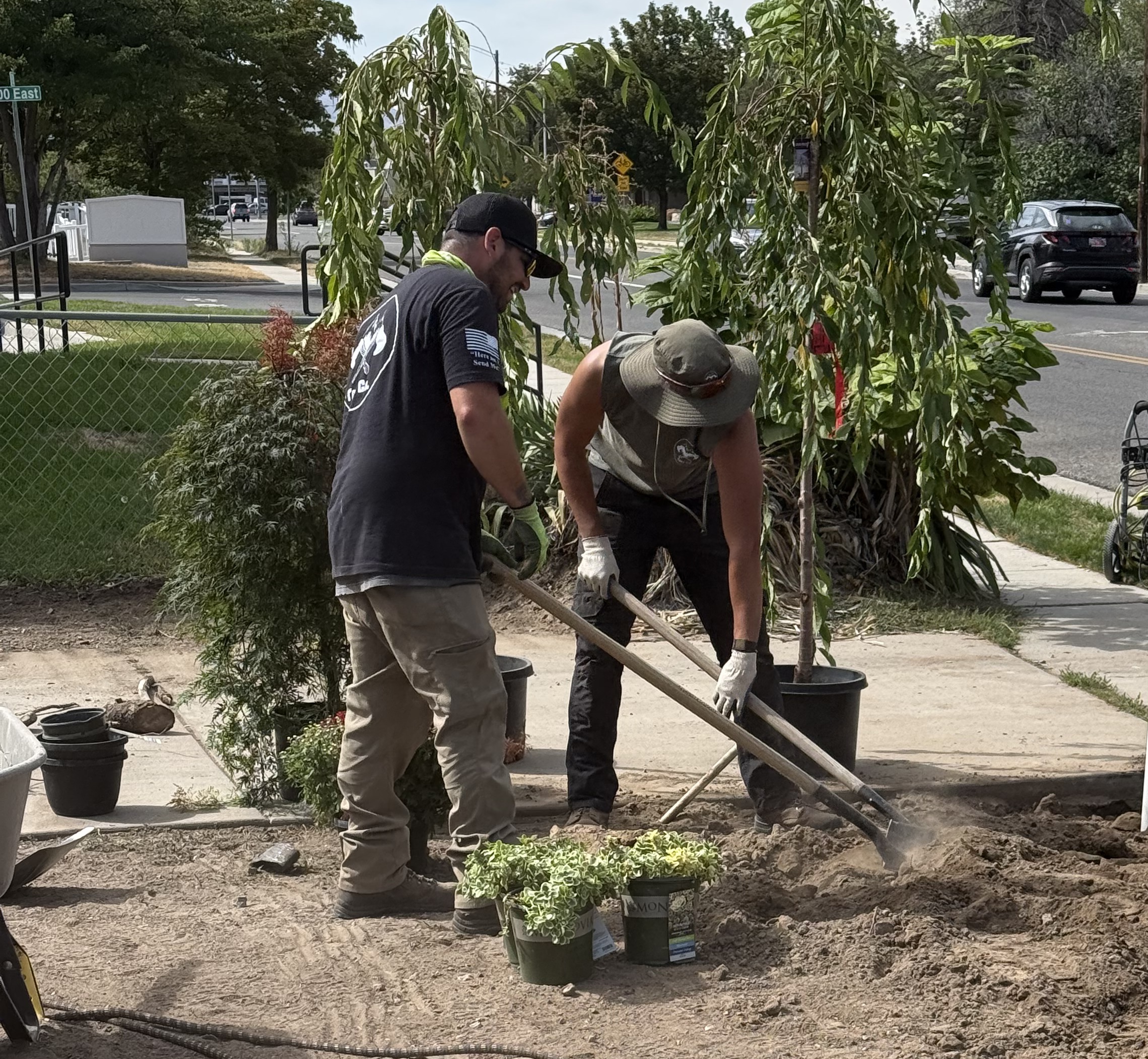 How Much Does Tree Removal Cost in Utah? How Much Does Tree Removal Cost in Utah?